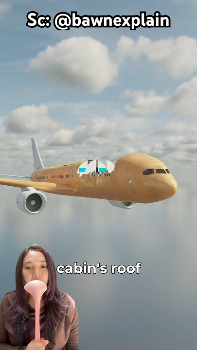 The roof of the plane suddenly opened 😱 #uniquefacts #airplane