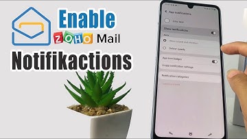 How To Turn On Notifications On Zoho Mail App