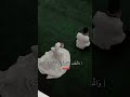 والموفون بعهدهم إذا عاهدوا