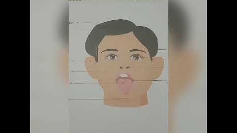 UKG miss A.Gomathi. EVS "Missing Letters" (13/8/20)