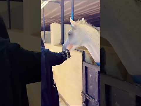 امونه عبدالله و مساء الاجواء الحلوة