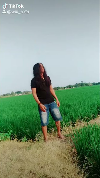 Tik Tok Story Wa, Cover Sultan, Kemana Cinta Kubawa