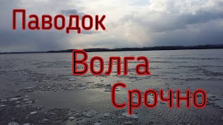 Паводок на реке Волга Самарская область Тольятти сегодня