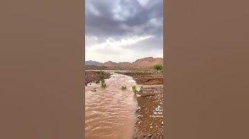 سعود الشريم سورة يوسف #اكسبلور #المصحف #القزابري #دويتو #الرحمن #تيك_توك #راحة_نفسية