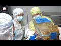 宇宙空間における胚研究システムを構築