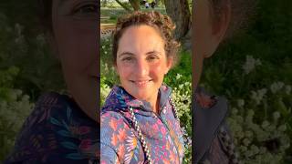 Liebe Das Funkelfaden Leben