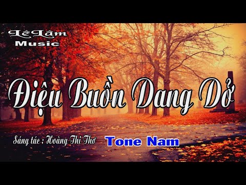 Video Karaoke - ĐIỆU BUỒN DANG DỞ Tone Nam | Lê Lâm Music - youtube