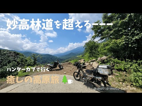【妙高小谷林道ツーリング】ハンターカブで越える林道妙高。小さな冒険と、静かな癒しの時間【motto moto旅】|50代女性ライダーVlog