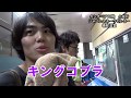 映像注意！【ヘビのお食事】ジャパンスネークセンター その３（毒蛇温室）