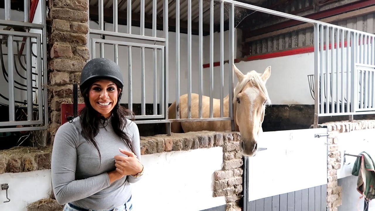 Horse Riding Dublin The Paddocks YouTube