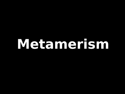 Video: Forskjellen Mellom Posisjonsisomerisme Og Metamerisme