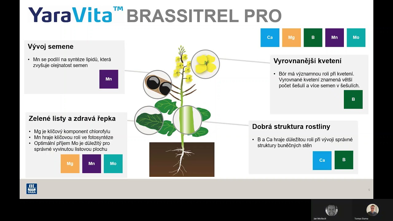 YaraVita BRASSITREL PRO - listové hnojivo do olejnin