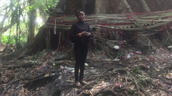 Ethiope river source from a big tree in Umuaja