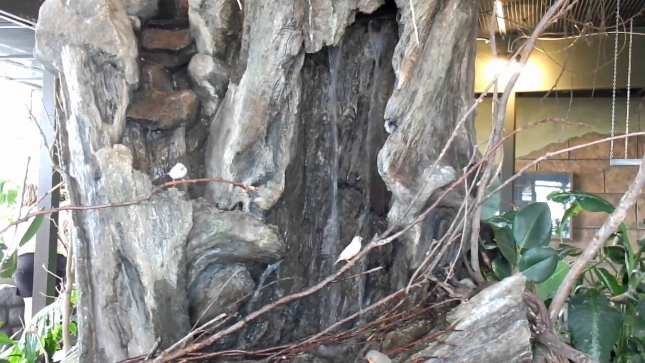 Indoor Aviary for small birds such as Tanagers, Zebra Finches, Society Finches etc.