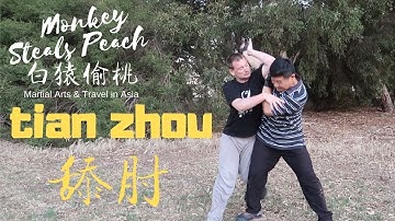 Application of the Upward Elbow in Taiji Mantis