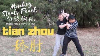 Application Of The Upward Elbow In Taiji Mantis