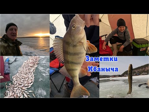 Супер рыбалка: много, экстремально, а главное - с внуком