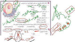 حل درس تركيب الخليه كتاب الامتحان ٢٠٢٣ الصف الاول الثانوي