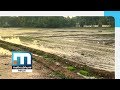 Organic Paddy Farming Using Indigenous Varieties At Niranam | Mathrubhumi News