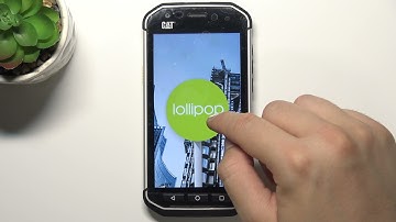 How to Check Android Version in CAT S40 -  Find Current Android Version