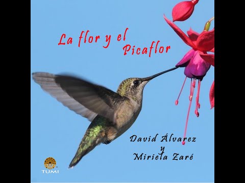 La Flor y el Picaflor - David Alvarez ft. Miriela Zare. (English Subtitles)