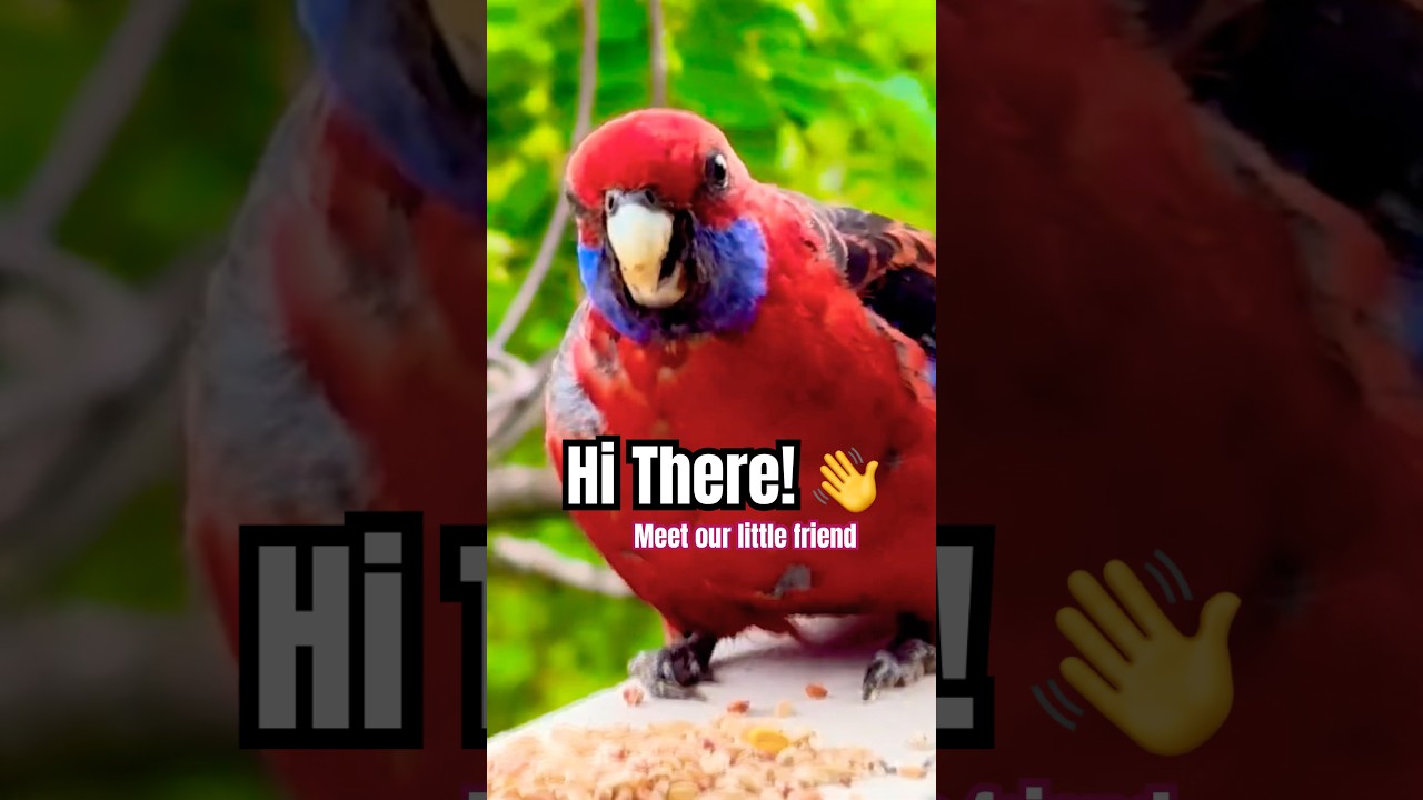 Сэр Реджи возвращается каждый год, и встреча с ним определенно стоит того. 