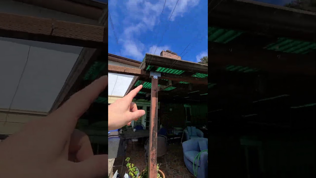 How I Protect My Pond from Sneaky Birds!