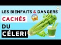 Cleri ses bienfaits et dangers pour la sant jus de cleri