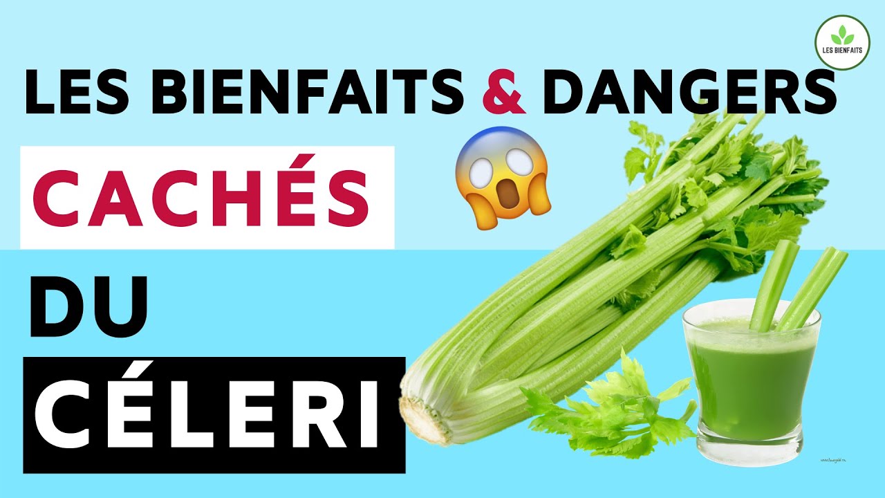Céleri: Ses bienfaits et dangers pour la santé (jus de céleri)