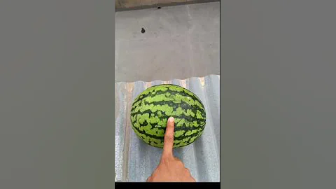 Experiment: Will watermelons explode if it rolls down from a tall building?🍉💥 #shorts