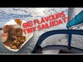 Gourmet Chicken &amp; Souffl&eacute; in a Tiny Sailboat Galley | Coastal Sailing Adventure