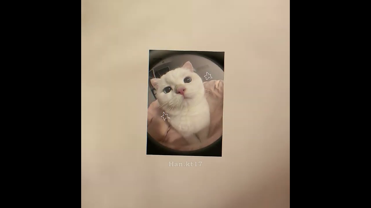 بدون موسيقى |اغنية Nicky Jam - Hasta el Amanecer ✨🎵