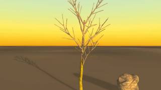 Celebrity Basic tree simulation without local mass weights tweaks Net Worth