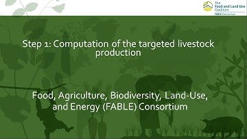 6. Computation of the targeted livestock production on the FABLE Calculator
