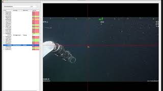 vars-localize demonstration