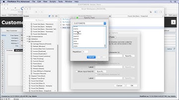 Save with Snapshot Link in FileMaker
