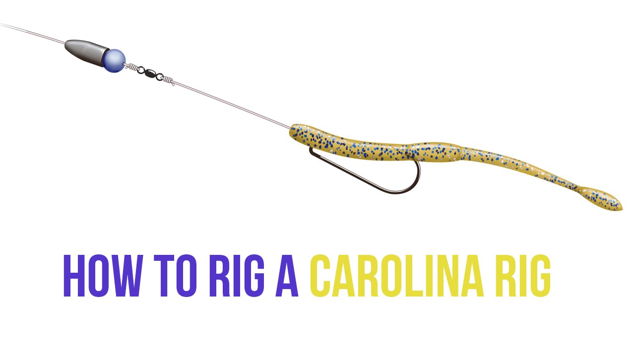 How to Rig a Carolina Rig 2015 