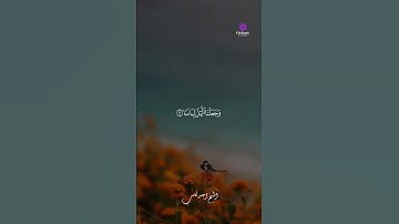 "التلاوة التي تزرع السكينة: الشيخ أحمد كاسب ❤️"