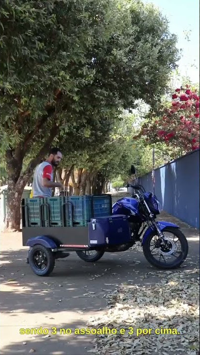 Sidecar Transporte de Moto - Loja Motocarga