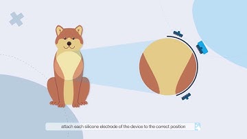 ARGOS - Vet Monitoring System (ENG)