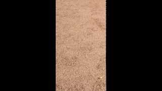 IMG 0127