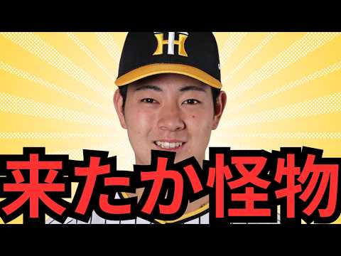 俺がめっちゃ楽しみにしてる下村海翔がいよいよ一軍昇格やで！！！ファームでの登板見たけどやっぱ球エグいな！下村が今の阪神投手陣を救ってくれる気がするわ！来週辺り昇格しそうな気するで！！！！！！！！！！！