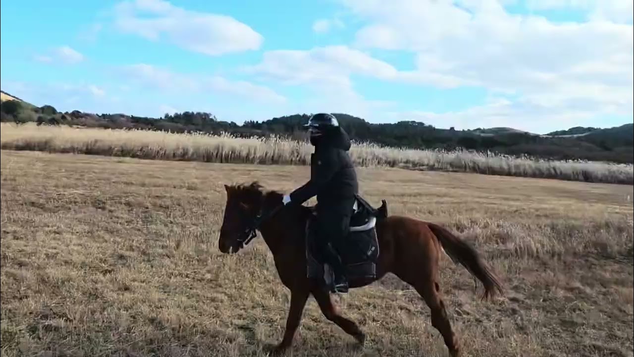 ♥️🌼🥕제주브리더스파크/ Experience all four seasons in 10 days at Jeju Breeders🥕🌼외승 10일간의 제주 4계절 맛보기~♥️♥️