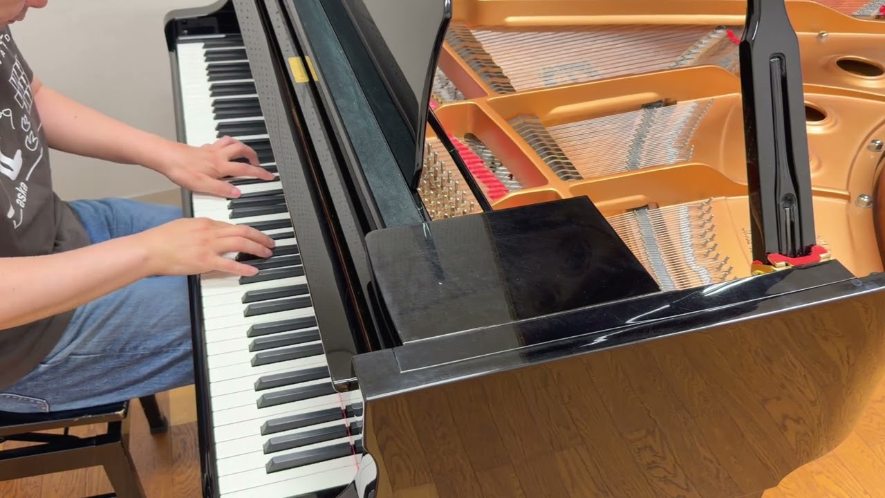 ショパン 24の前奏曲 第4番 ホ短調 Op.28-4 - YouTube