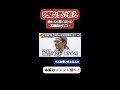 【令和の虎】岩井社長も驚くほどの完璧な受け答えがすごいww【令和の虎切り抜き】