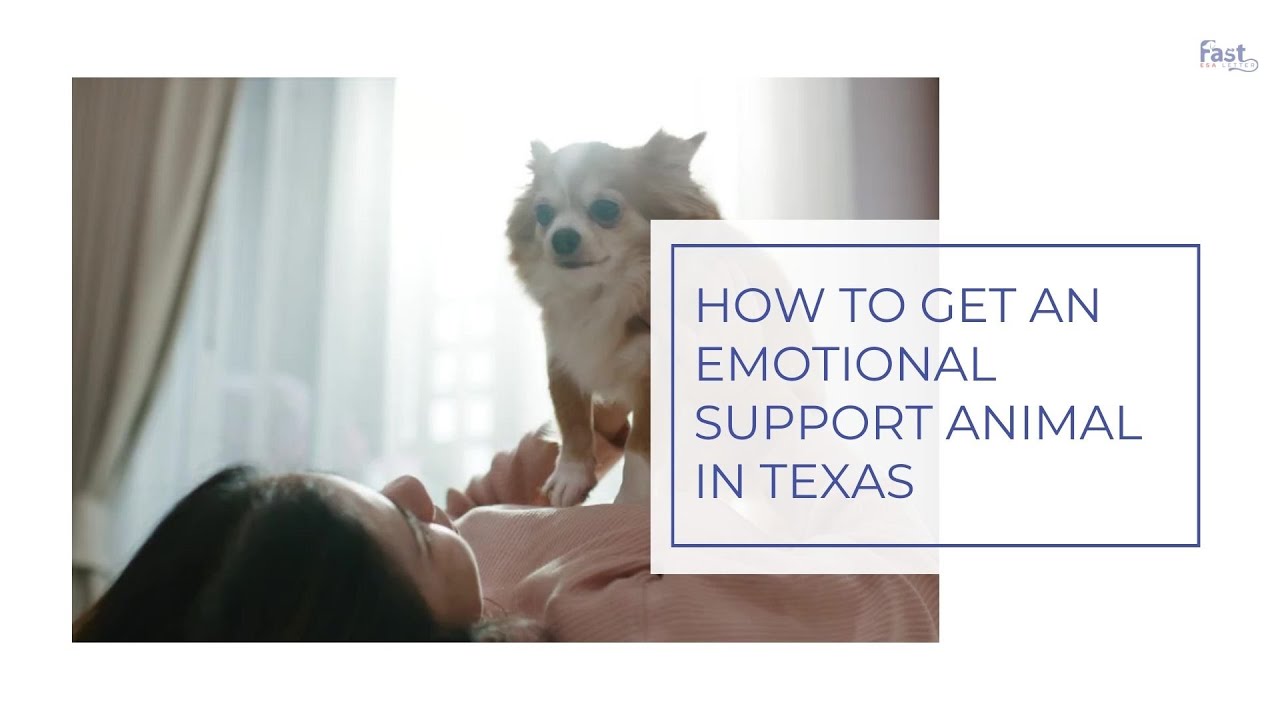 How To Get An Emotional Support Animal In Texas YouTube How To Get An Emotional Support Animal In Texas YouTube