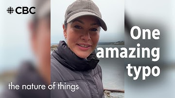 My thesis was accidentally called "Fish and Chips"