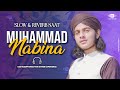 Muhammad nabina  muhammad hassan raza qadri  slowed  reverb  naat revibe