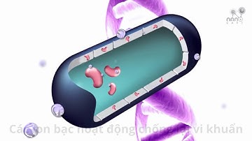 ION BẠC TIÊU DIỆT VI KHUẨN NHƯ THẾ NÀO?