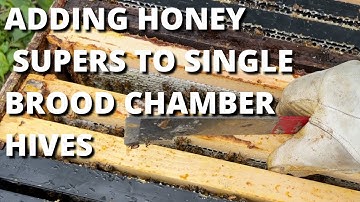Adding honey supers to single brood chamber hives